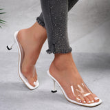 Clear Pointed Toe Stiletto Mule Heels