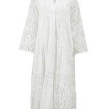 Embroidered V-Neck Maxi Dress